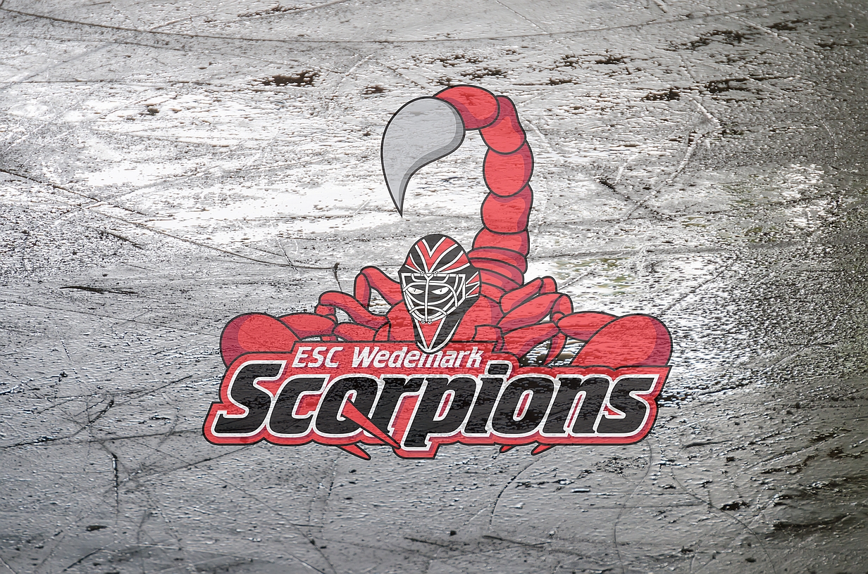FSJ im Sport bei den Wedemark Scorpions ESC Wedemark Scorpions e.V.